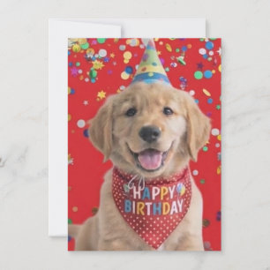 Golden Retriever Welpe wünscht alles Gute zum Gebu Feiertagskarte