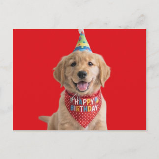 Golden Retriever Welpe wünscht alles Gute zum Gebu Postkarte