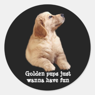Golden retriever-Welpen-Aufkleber Runder Aufkleber