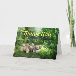 Golden Retriever Welpen Danke Karte