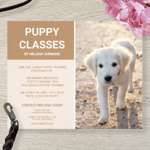 Golden Retriever Welpen-Foto Individuelle Welpen-K Flyer