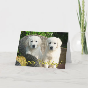 Golden Retriever Welpen Geburtstagskarte Karte