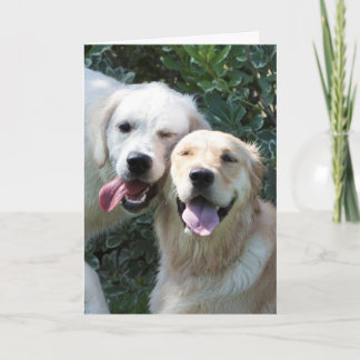 Golden retriever-Welpen-Gruß-Karte Karte