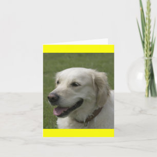 Golden Retriever Welpen Grußkarte Karte