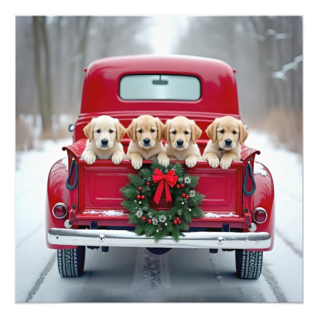 Golden Retriever Welpen im Weihnachtsverkehr Fotodruck (Vorne)