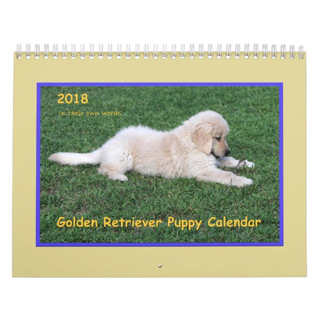 Golden retriever-Welpen-Kalender 2018 Kalender (Titelbild)