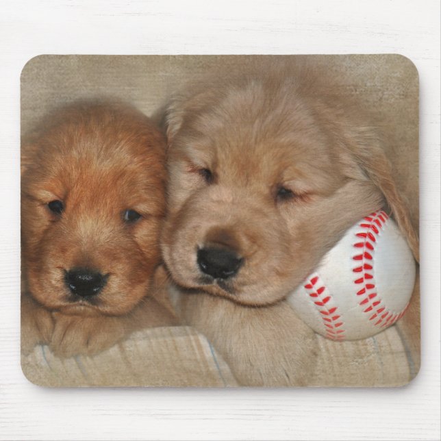 Golden Retriever Welpen mit Baseball Mousepad (Vorne)