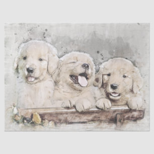 Golden Retriever Welpen Seidenpapier