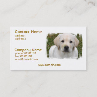 Golden retriever-Welpen-Visitenkarte Visitenkarte