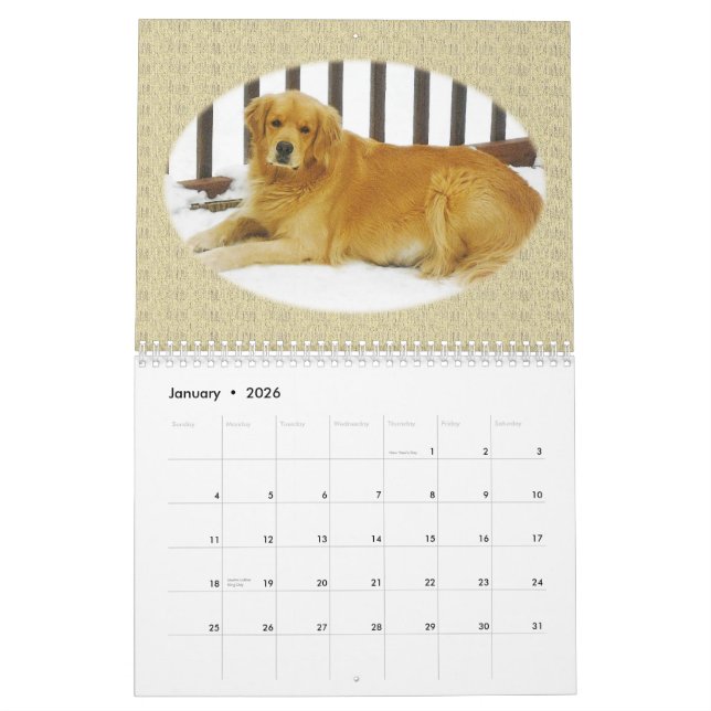 Golden retriever-Welpen-Wandkalender Kalender (Jan 2026)