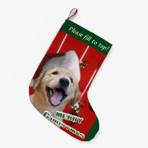 Golden retriever-Welpen-Weihnachten Kleiner Weihnachtsstrumpf