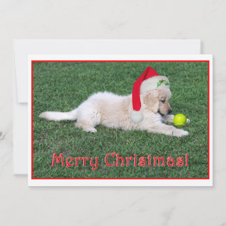 Golden retriever-Welpen-Weihnachtskarte flach Feiertagskarte