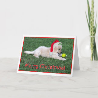 Golden retriever-Welpen-Weihnachtskarte gefaltet Feiertagskarte