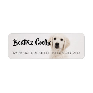 Golden Retriever Welpenhund als dekorativer Schlic