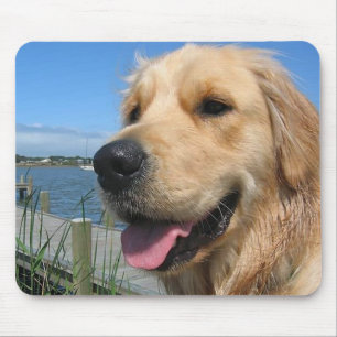 Golden Retriever Welpenhundeliebe Mousepad