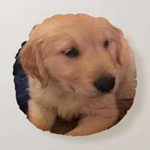 Golden Retriever Welpenpilz Rundes Kissen