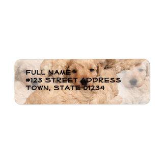 Golden Retriever Welppies Collage Mailing Label