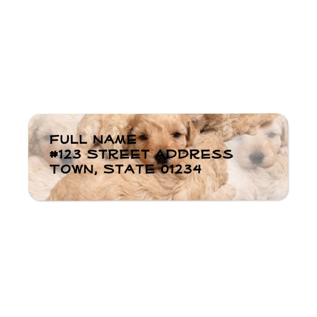 Golden Retriever Welppies Collage Mailing Label (Vorne)