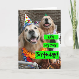 Golden Retriever Yay Es ist dein Geburtstag Karte