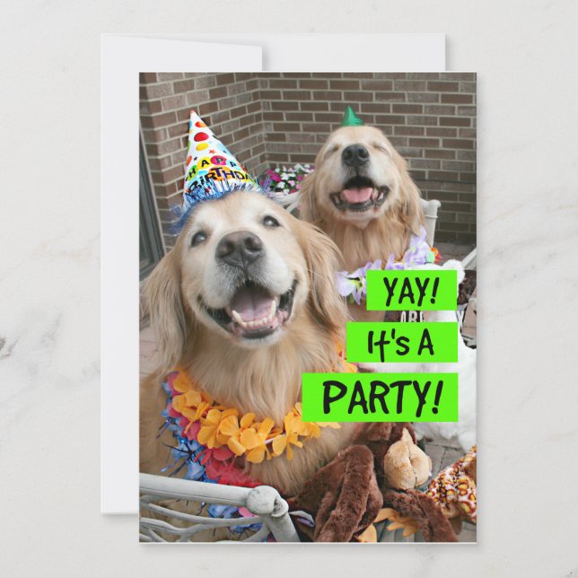 Golden Retriever Yay Es ist eine Party Einladung (Vorderseite)