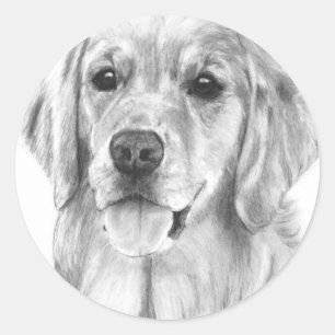 Golden Retriever Zeichnend Stickers