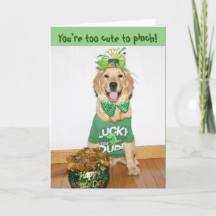 Golden Retriever zu Niedlich zum St. Patty's Day Feiertagskarte