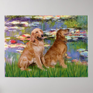 Golden Retriever (zwei) - Lilien 2 Poster