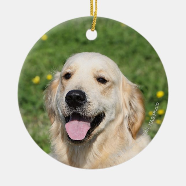 Golden retrieverHeadshot 1 Keramik Ornament (Vorne)