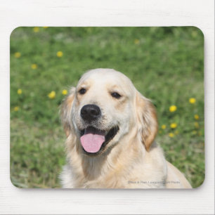 Golden retrieverHeadshot 1 Mousepad