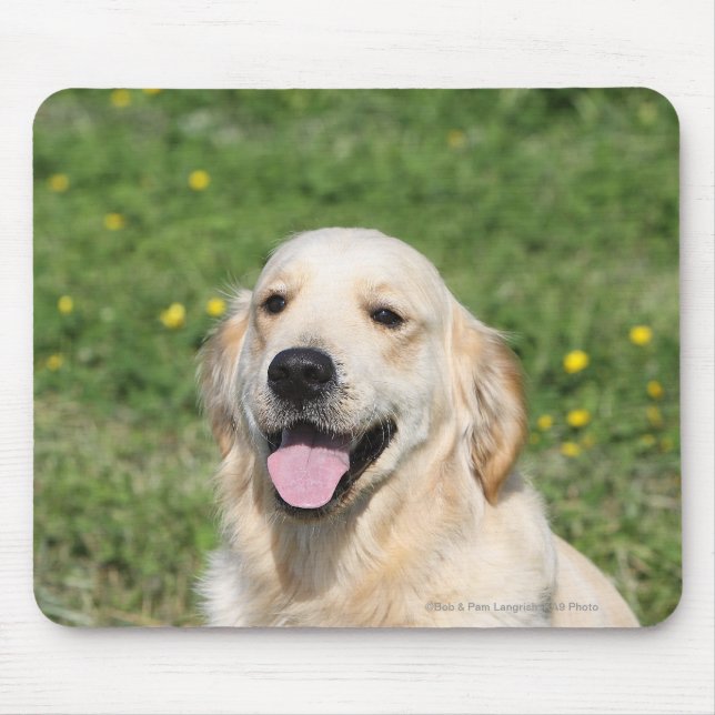 Golden retrieverHeadshot 1 Mousepad (Vorne)