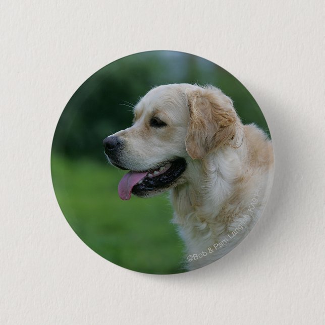 Golden retrieverHeadshot 2 2 Button (Vorderseite)