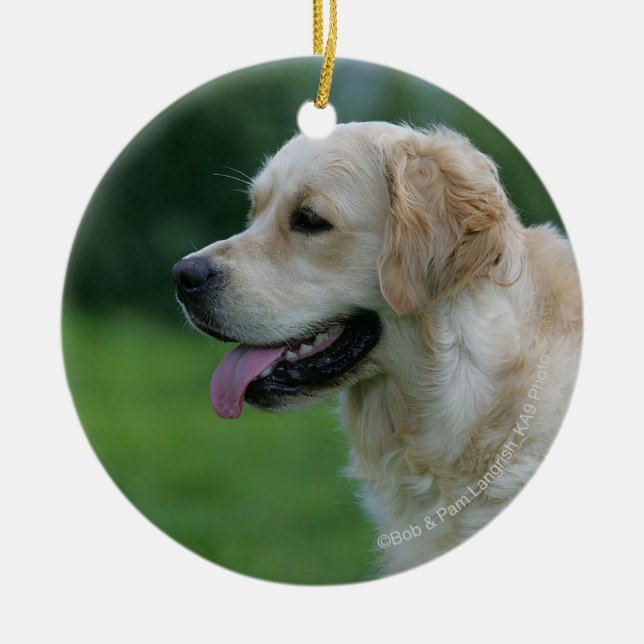 Golden retrieverHeadshot 2 2 Keramikornament (Vorne)
