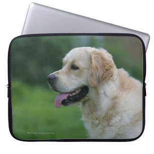 Golden retrieverHeadshot 2 2 Laptopschutzhülle