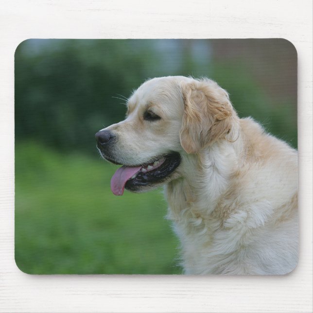 Golden retrieverHeadshot 2 2 Mousepad (Vorne)