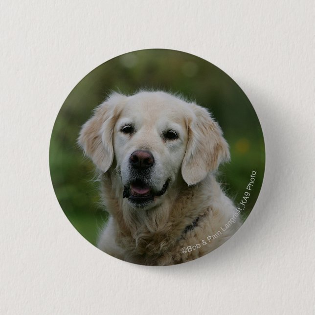 Golden retrieverHeadshot 2 Button (Vorderseite)