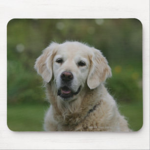 Golden retrieverHeadshot 2 Mousepad