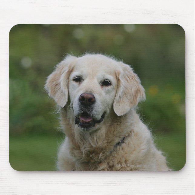 Golden retrieverHeadshot 2 Mousepad (Vorne)