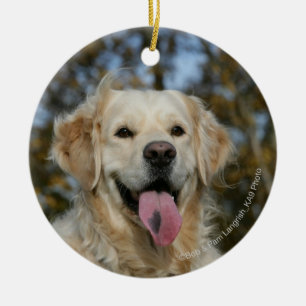 Golden retrieverHeadshot 3 Keramikornament