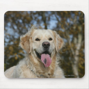 Golden retrieverHeadshot 3 Mousepad