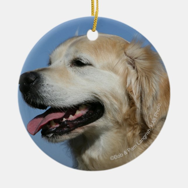Golden retrieverHeadshot 4 Keramikornament (Vorne)