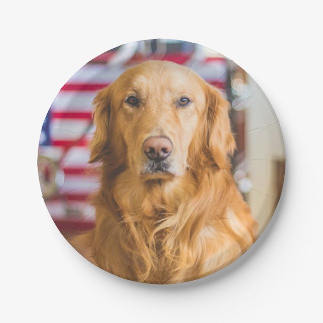 Golden retrieverhundeporträt pappteller (Vorderseite)