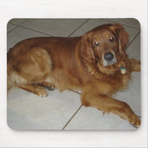Golden retrieverMausunterlage Mousepad