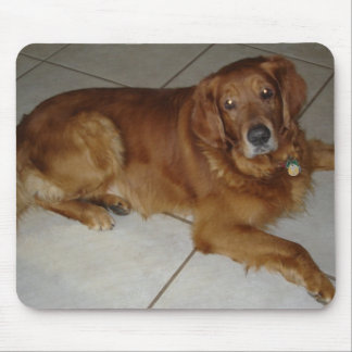 Golden retrieverMausunterlage Mousepad