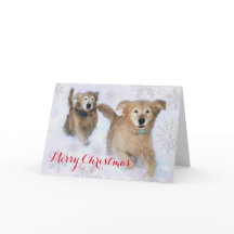 Golden Retrievers Dashing Thru der Schnee Weihnach