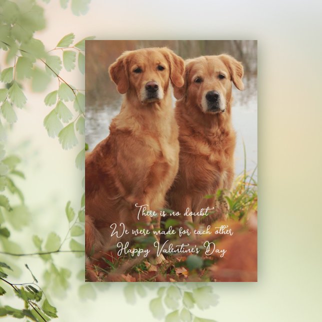 Golden Retrievers für jede andere Karte (Von Creator hochgeladen)
