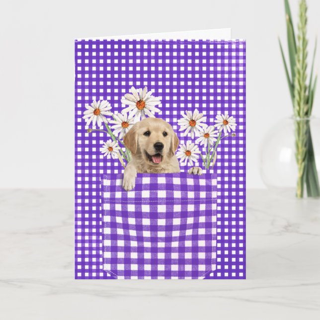 Golden Retrievers in Gingham Pocket Card Karte (Vorderseite)