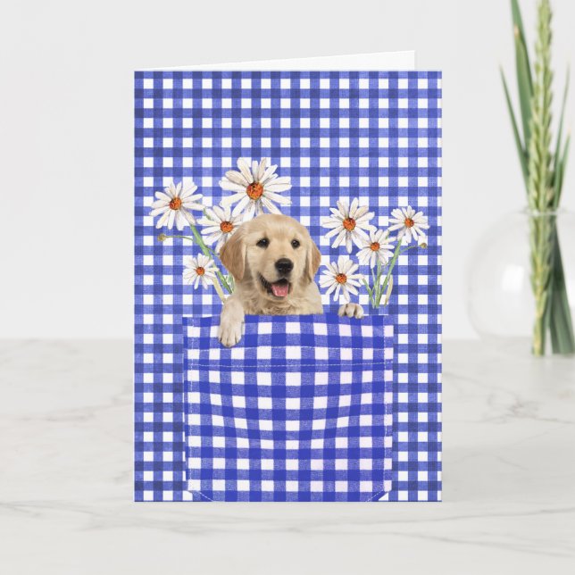 Golden Retrievers in Gingham Pocket Karte (Vorderseite)