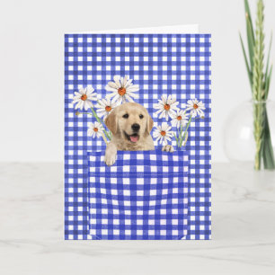 Golden Retrievers in Gingham Pocket Karte