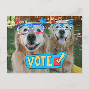 Golden Retrievers in Independence Day Glasses Abst Postkarte