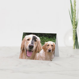 Golden Retrievers Peter Fox und Mama Danke Karte